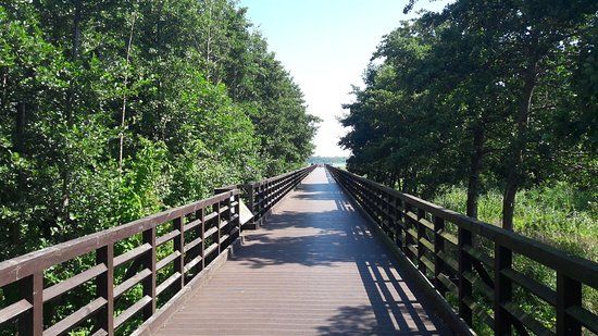 Rezerwat przyrody Słone łąki